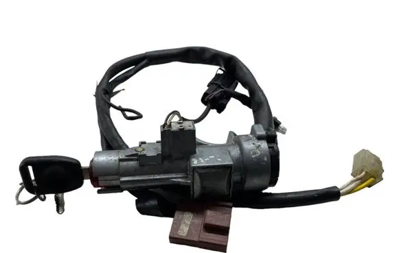 Land Rover Discovery Ignition lock C50096 C50097