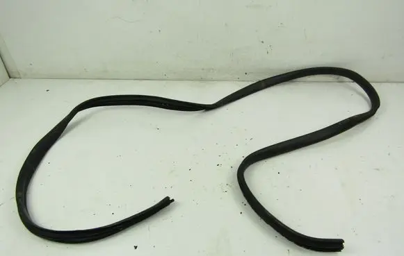 Dacia Logan Pick-Up Front door rubber seal 