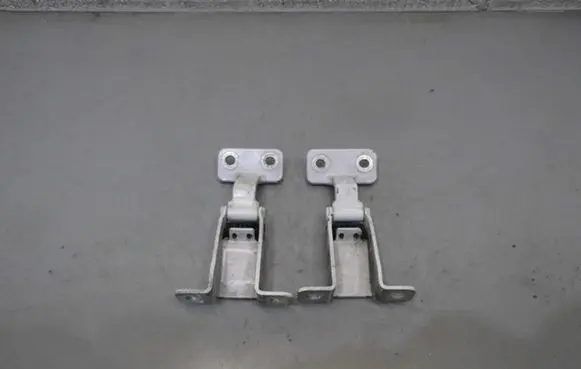 Renault Kangoo II Rear door hinge set 
