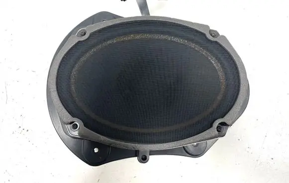 Chrysler 300 - 300C Front door speaker P05059067AC