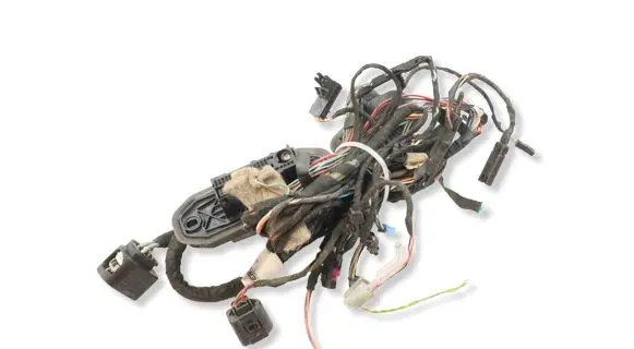 BMW X5M E70 Front door wiring loom 9242076 61129242076 9203113