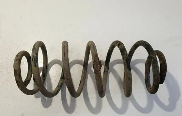 Rear coil spring