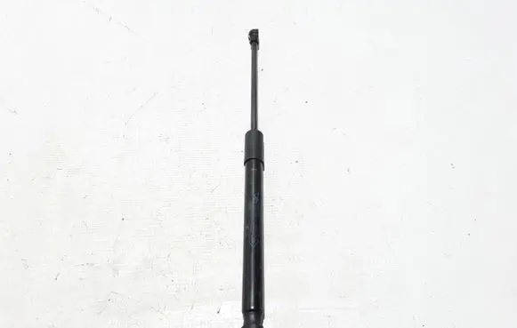 Tailgate strut