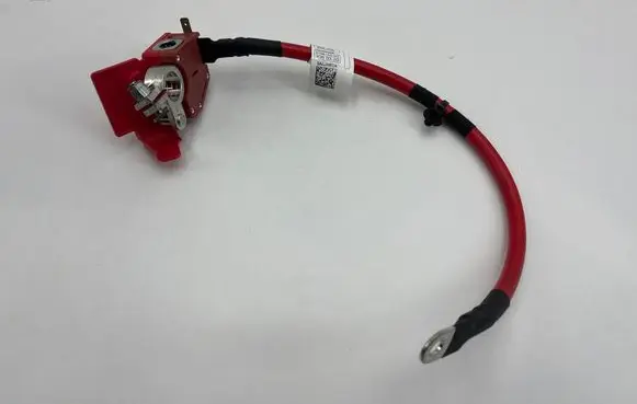 BMW 3 G20 G21 Positive cable (battery) 10304410 8796154 8796155