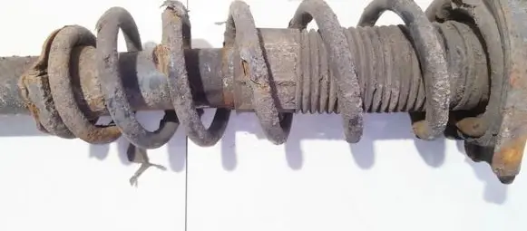 Toyota Corolla Verso AR10 Rear coil spring