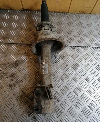 Front shock absorber/damper