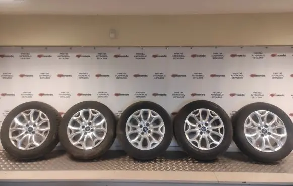 Ford Ecosport R16 alloy rim DN1C1007CA