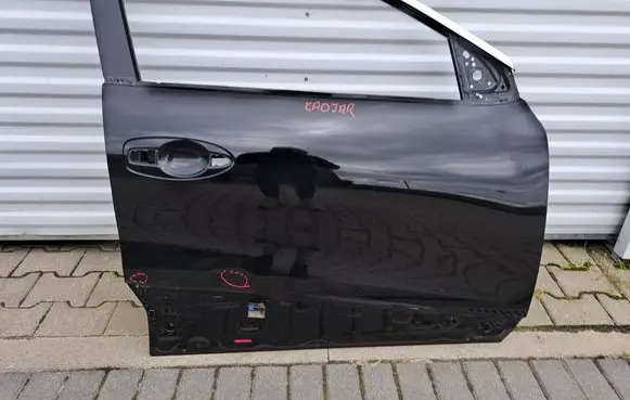 Renault Kadjar Front door 95165786012r