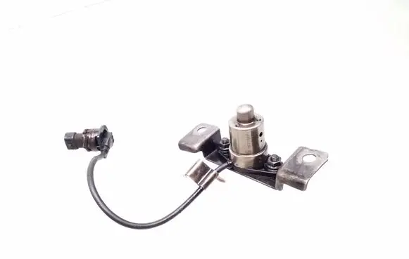 Opel Meriva A Oil level sensor 8973188471