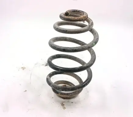 Volkswagen PASSAT B5.5 Rear coil spring