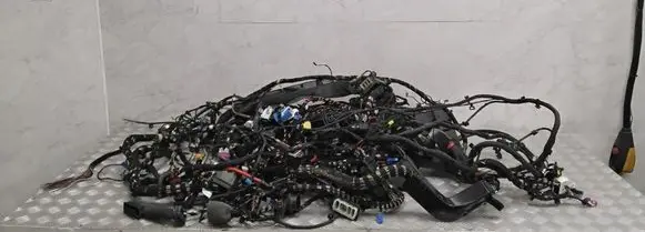 Other wiring loom