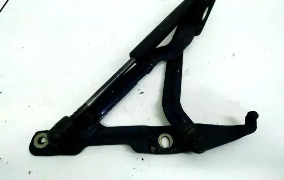 Volkswagen PASSAT B5 Tailgate/trunk/boot hinge