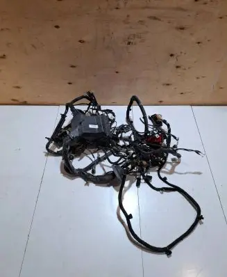 Ford Ecosport Wiring harness GN1512A581