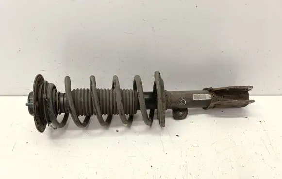 Opel Antara Front shock absorber/damper 95166267