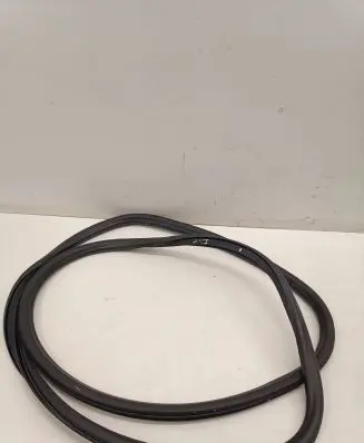 Opel Insignia B Front door rubber seal