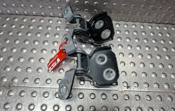 Renault Trafic III (X82) Front door hinge set S26309800
