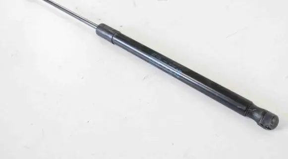 Tailgate/trunk strut/damper