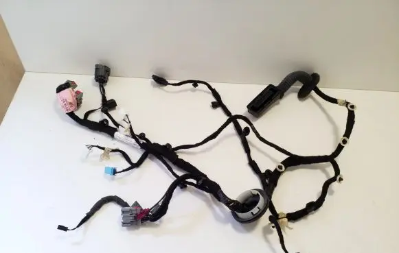 Front door wiring loom