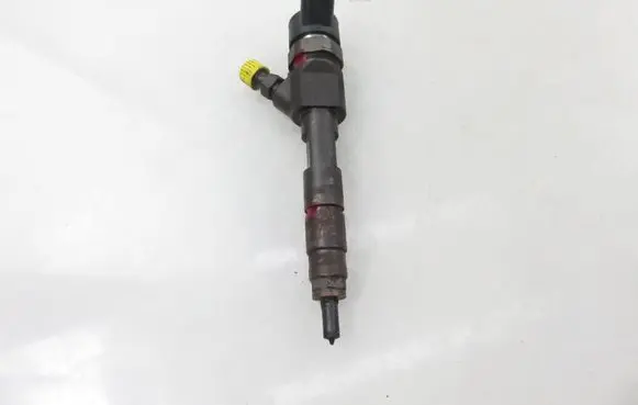 Suzuki Grand Vitara II Fuel injector 0445110230 8200389369