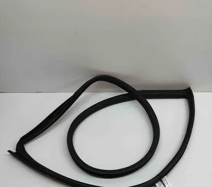 Chevrolet Camaro Rubber seal front door (on door) 22950428