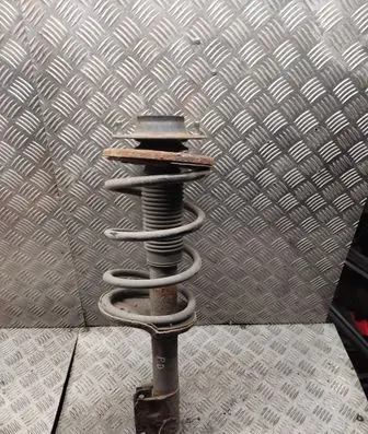 Hyundai Santa Fe Front shock absorber with coil spring