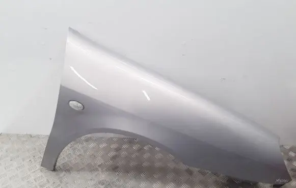 Citroen Xsara Fender