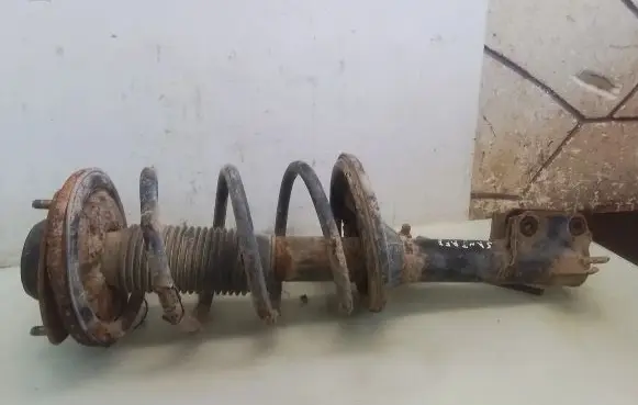 Hyundai Santa Fe Front shock absorber with coil spring