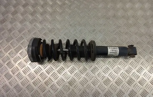 BMW X3 F25 Rear shock absorber with coil spring 6796317