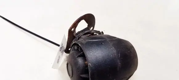 Renault Laguna I Alarm system siren 