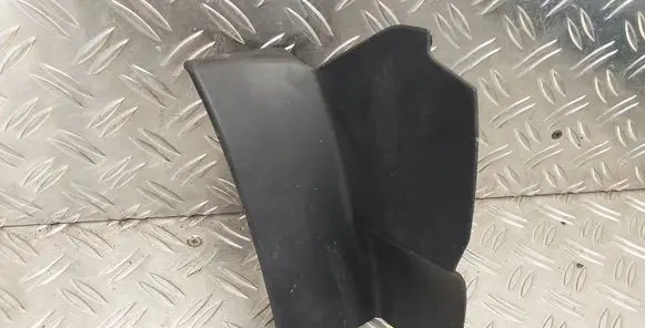 Rear/tail light trim molding