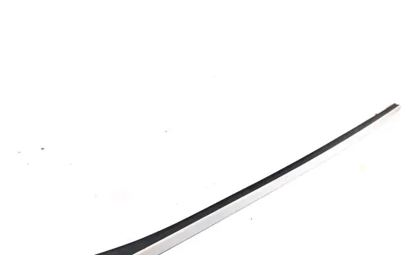 Hyundai Santa Fe Windshield trim