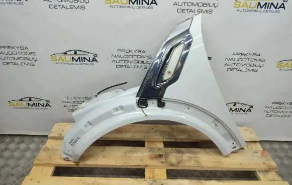 Mini Paceman (R61) Fender 2641P13H13