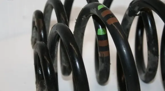 Volkswagen PASSAT B5.5 Rear coil spring