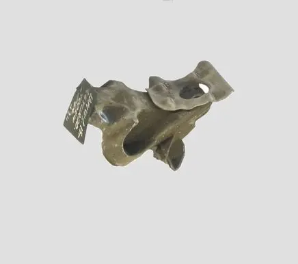 BMW 1 F20 F21 Engine mounting bracket 6788607 460006R