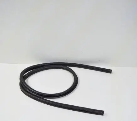 Dodge Challenger Rubber seal front door (on door) 