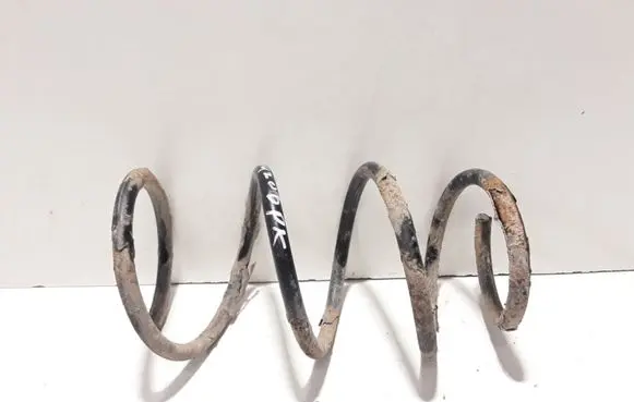 Front coil spring