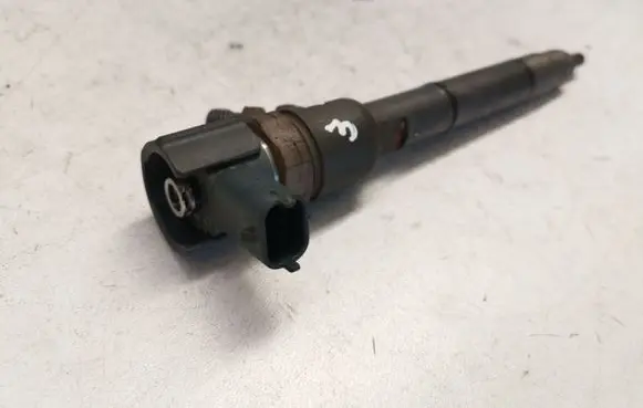 Hyundai i30 Fuel injector 0445110256 338002A400