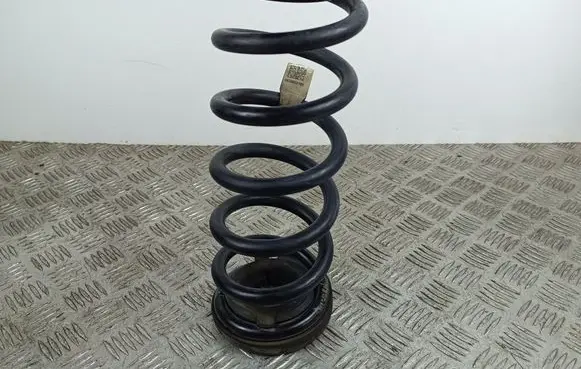 KIA Telluride Rear coil spring 55330S9100