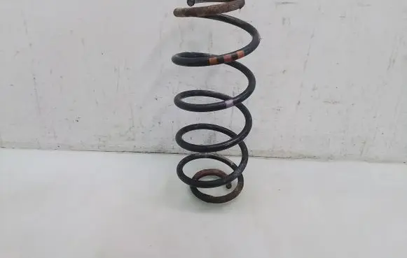 Rear coil spring