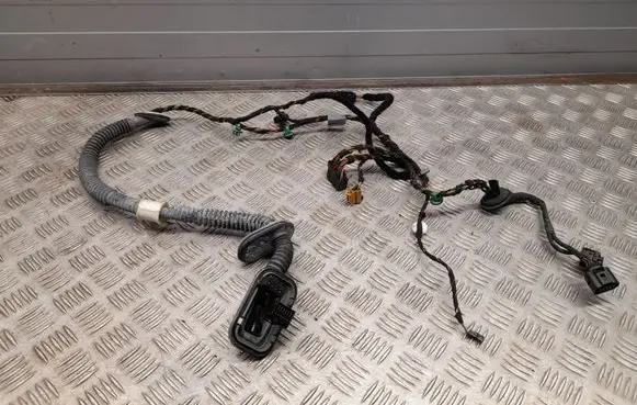 Porsche Panamera (970) Rear door wiring loom 97061264901