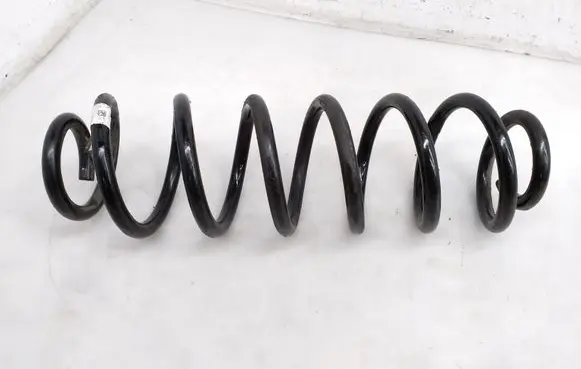 Rear coil spring