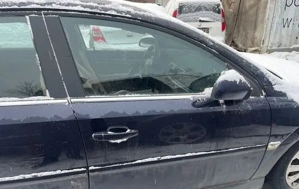 Opel Signum Front door 