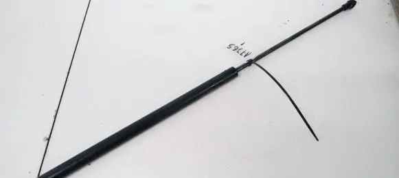 Citroen Xsara Front bonnet/hood damper/strut
