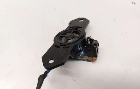 Front door high frequency speaker