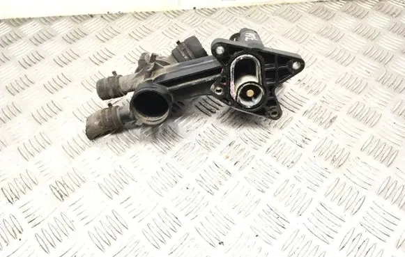 Thermostat/thermostat housing