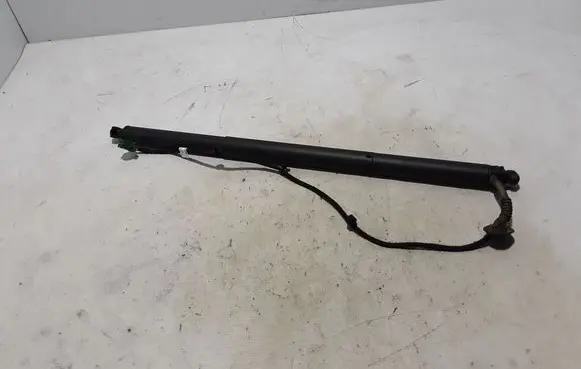 Tailgate strut