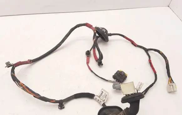 Hyundai Sonata Rear door wiring loom 0707020713