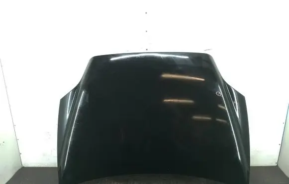 Engine bonnet/hood