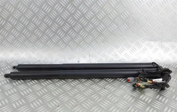 Ford Kuga III Tailgate strut LV4BS402A55AC