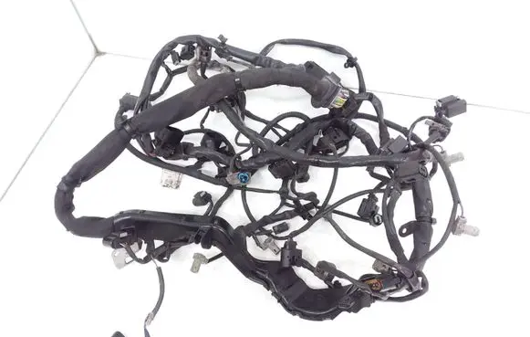 Mercedes-Benz R W251 Engine installation wiring loom A6421500956